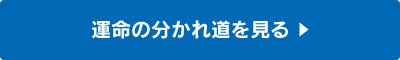 運命の分かれ道を見る